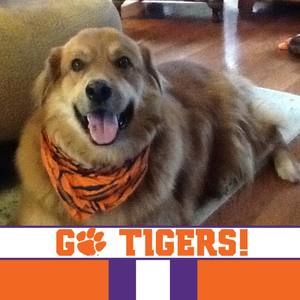 Meet your Posher, Kay